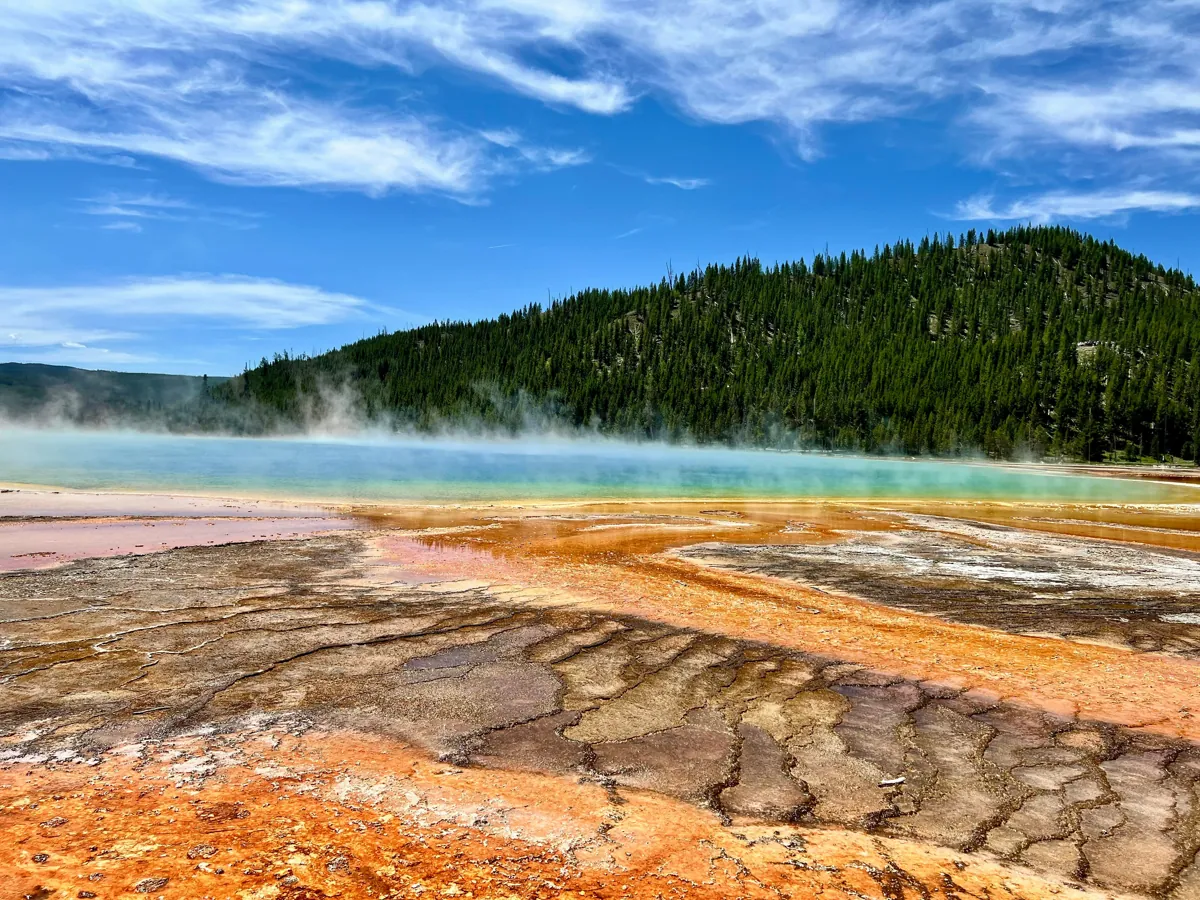 Vibrant geothermal colors and rising steam at Grand Prismatic Spring viewed from the boardwalk in Midway Geyser Basin, Yellowstone National Park, Wyoming.⁠